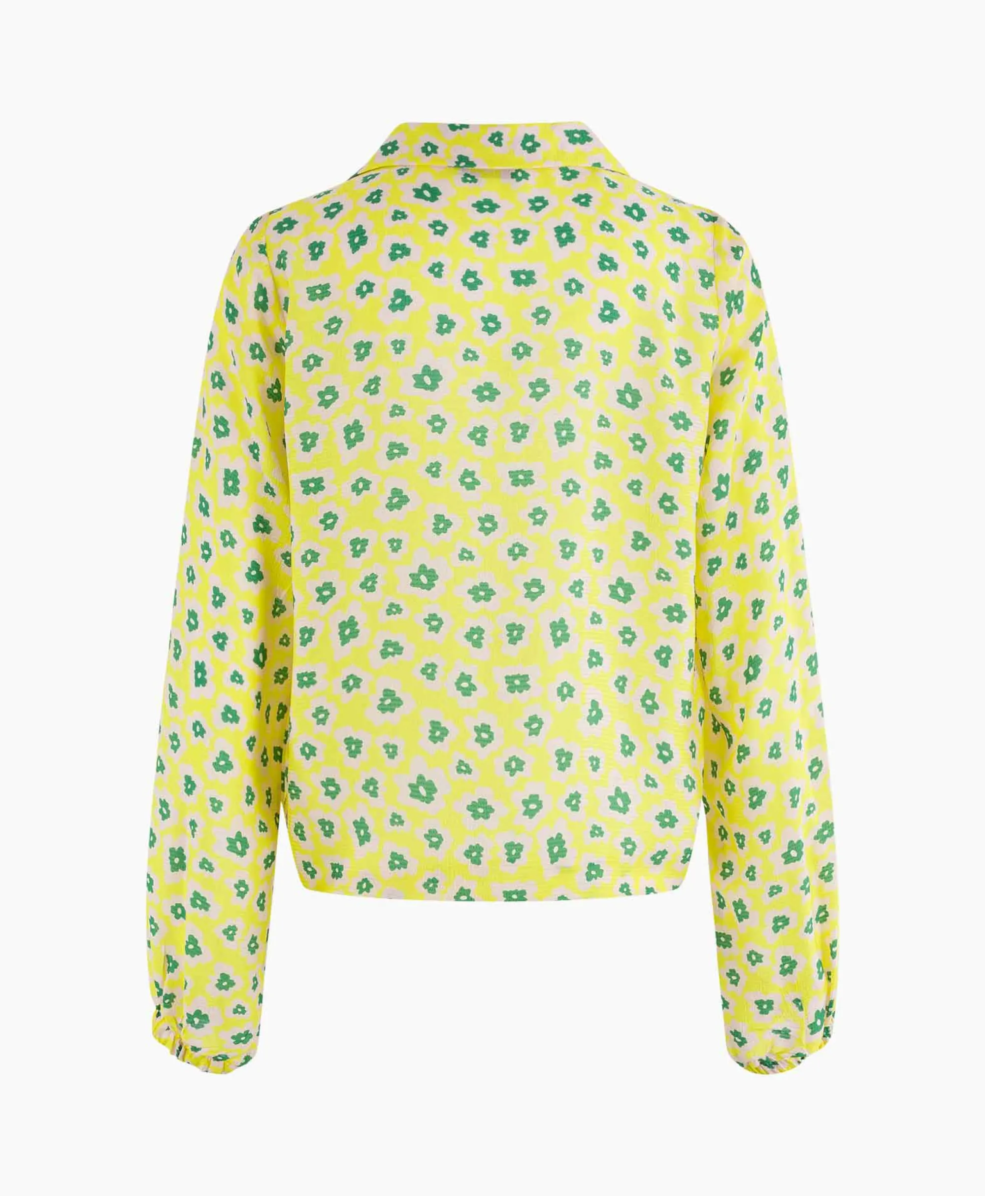 Anna Van Toor Blouse 43A05-03377 Licht Groen*Dames Blouses