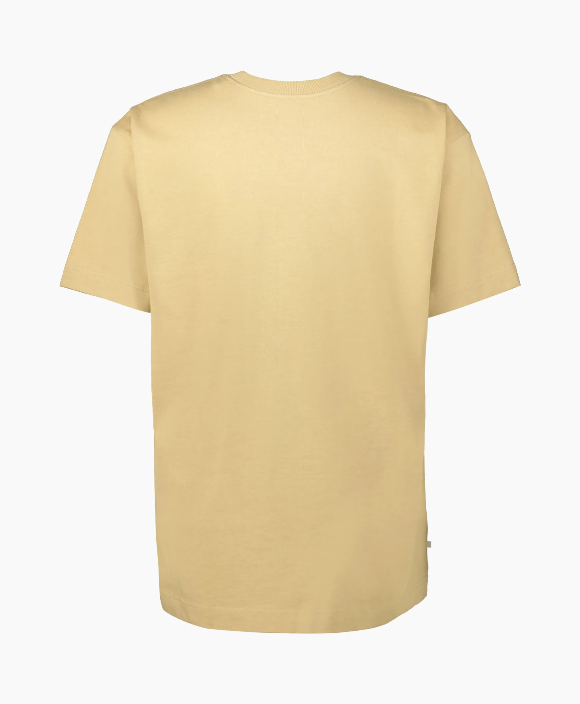 Tenue. T-Shirt Korte Mouw Bruce Bruin*Heren T-Shirts